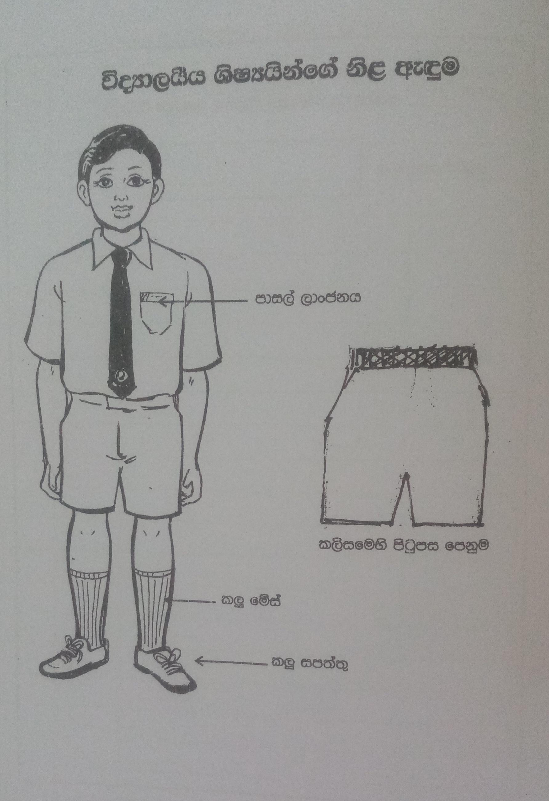 ප්රථමික අංශය